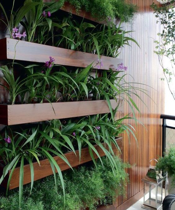 supporti in legno per giardini verticali 1