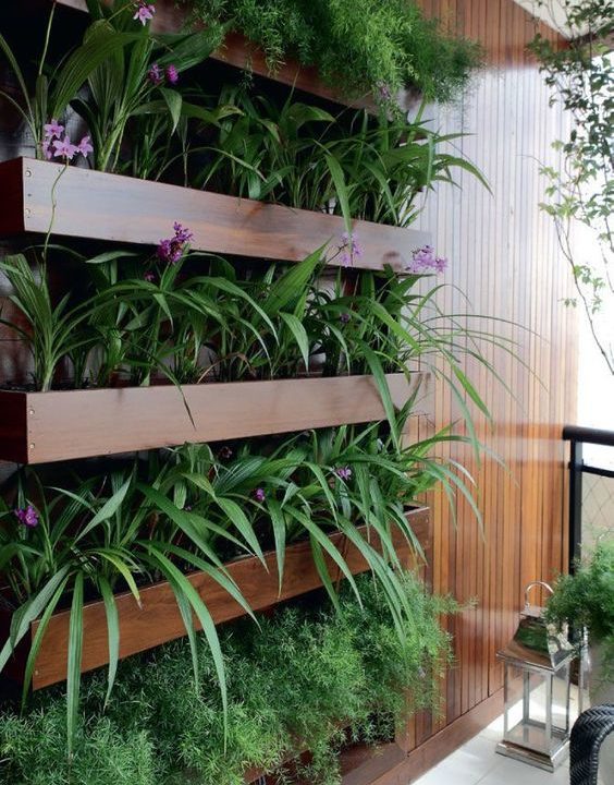 supporti in legno per giardini verticali 1